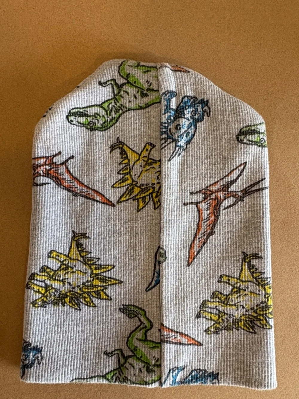 Toddler (2-4 yr old) Beanie hat in grey with multicolor dinosaur Print